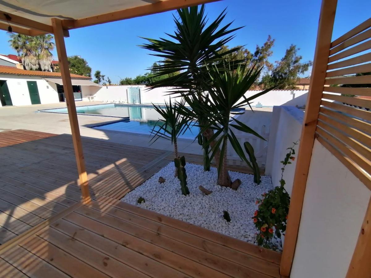 Le Palme Holidays بالمادولا المظهر الخارجي الصورة