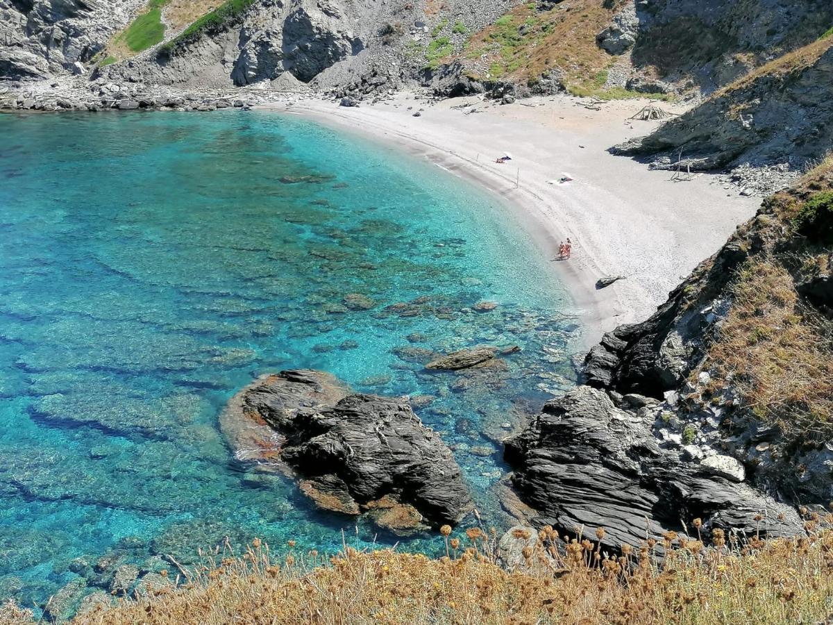Le Palme Holidays بالمادولا المظهر الخارجي الصورة