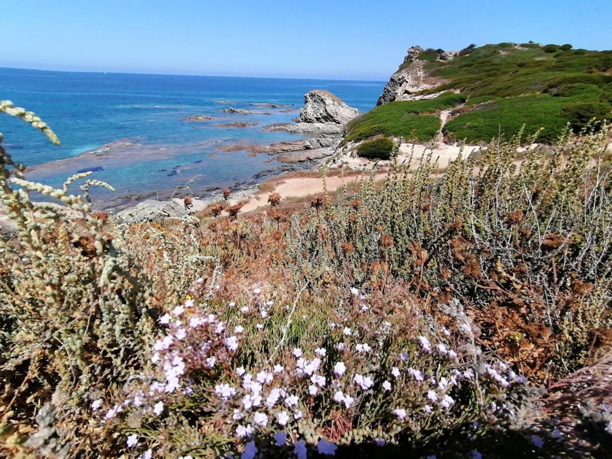 Le Palme Holidays بالمادولا المظهر الخارجي الصورة