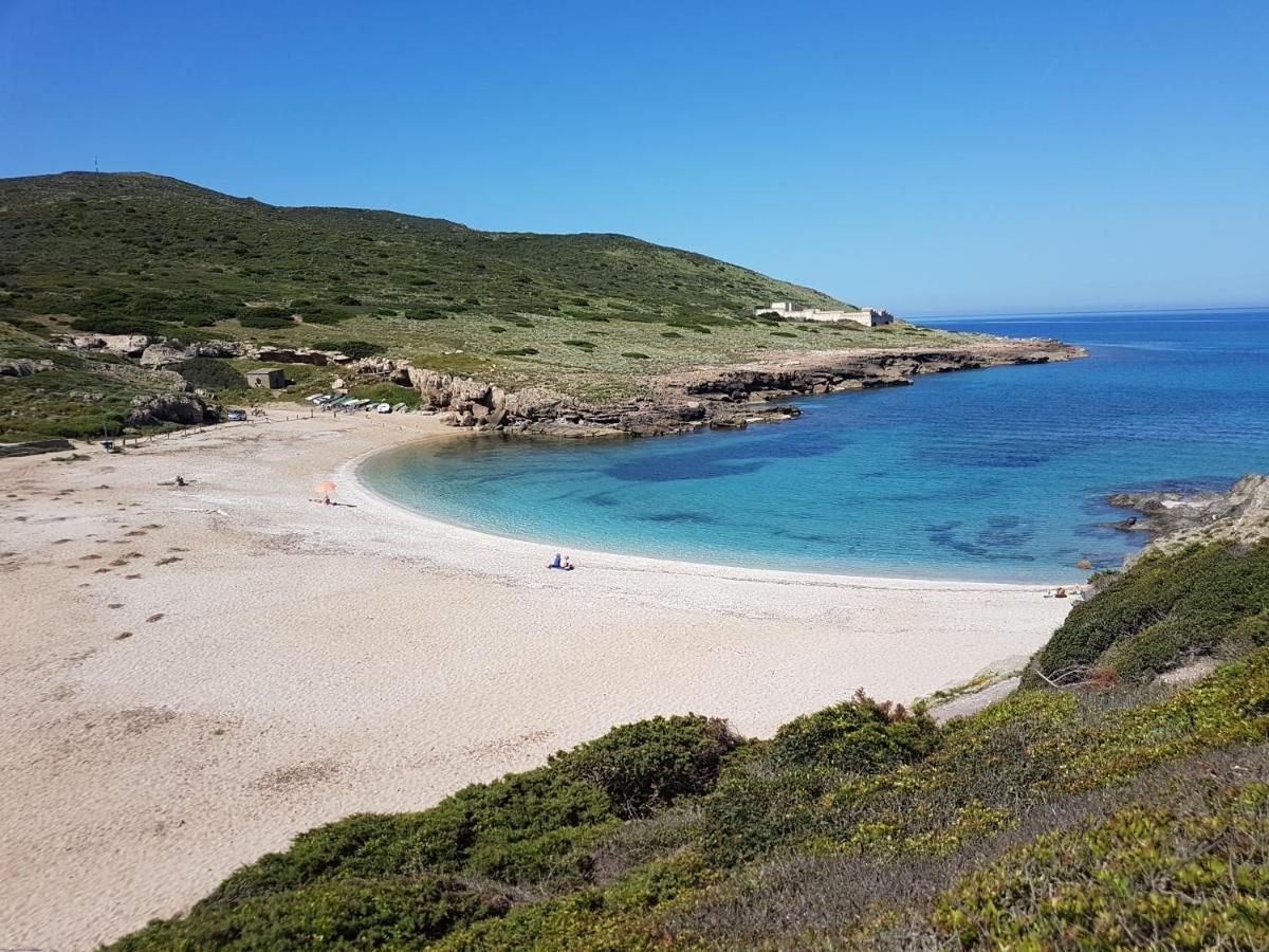 Le Palme Holidays بالمادولا المظهر الخارجي الصورة