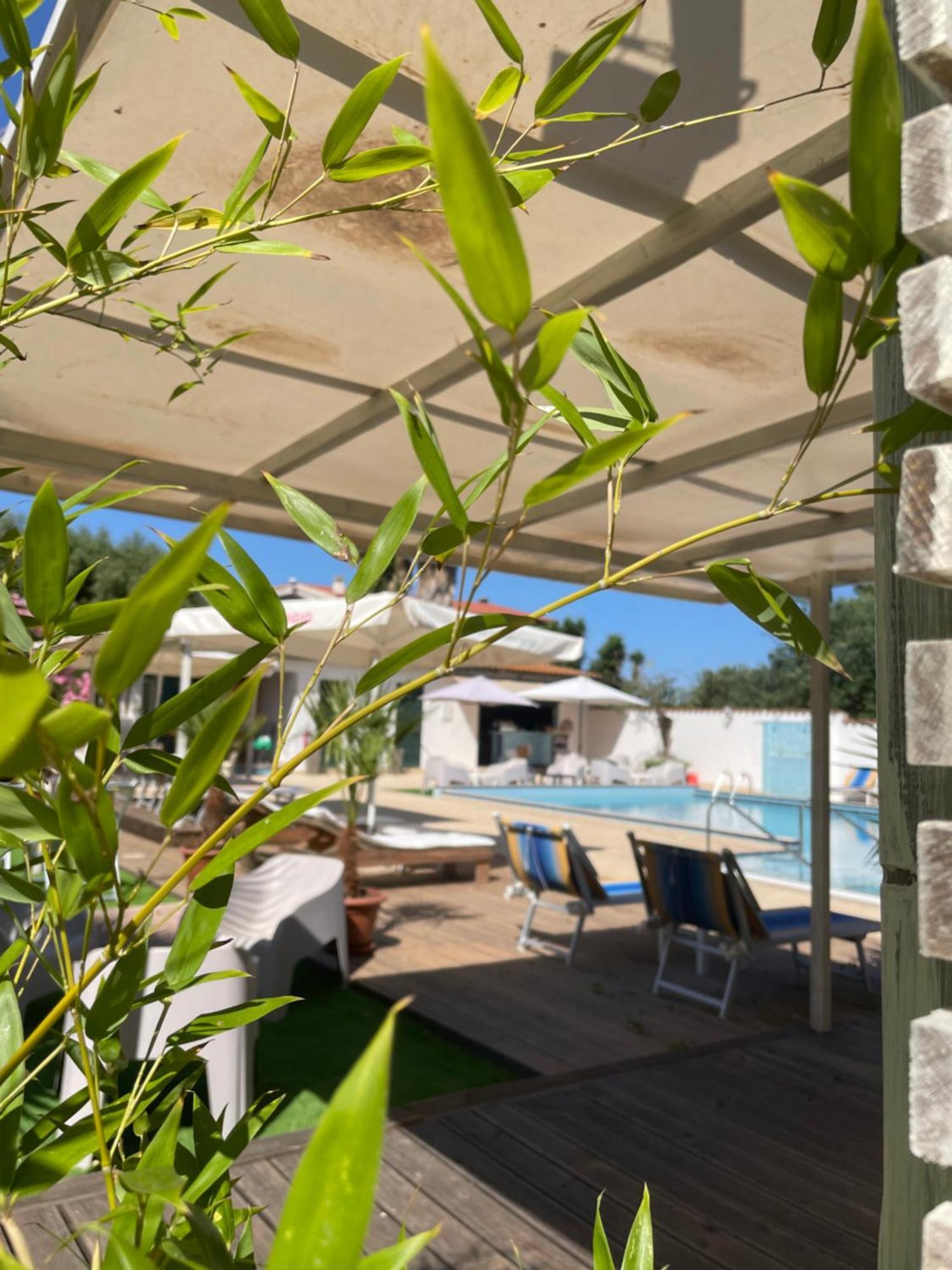 Le Palme Holidays بالمادولا المظهر الخارجي الصورة