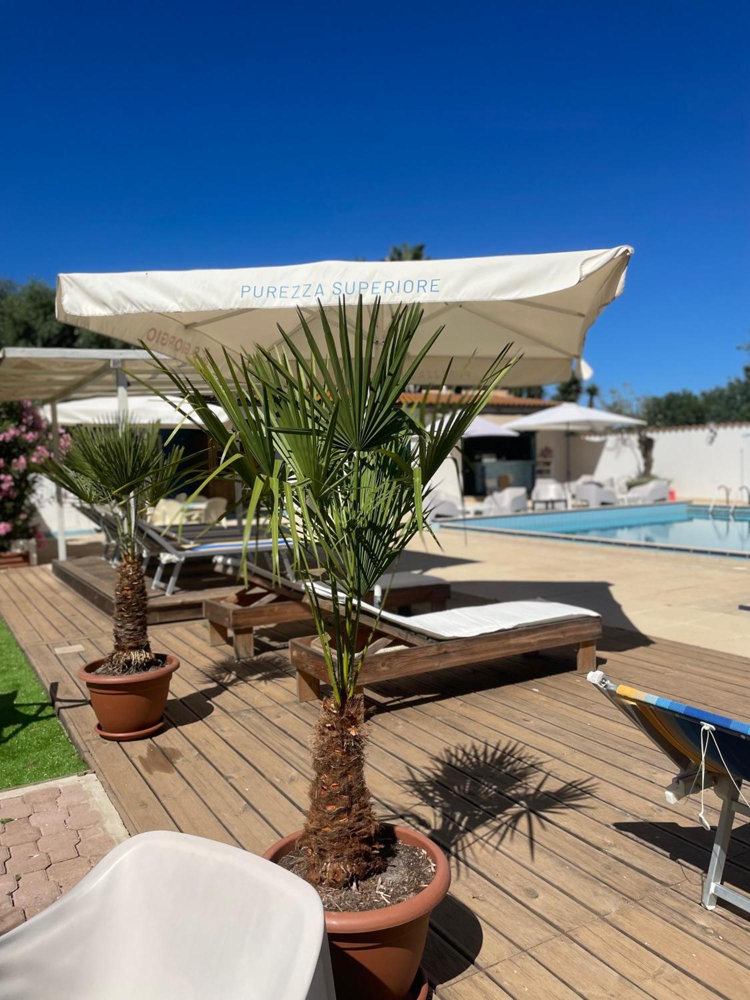 Le Palme Holidays بالمادولا المظهر الخارجي الصورة